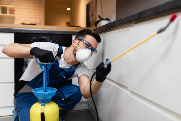 Best Pest Removal Services  in Imperial, NE