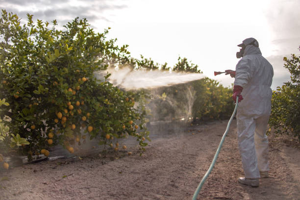 Best Residential Pest Control  in Imperial, NE