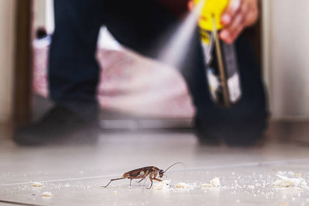 Best Pest Prevention Services  in Imperial, NE