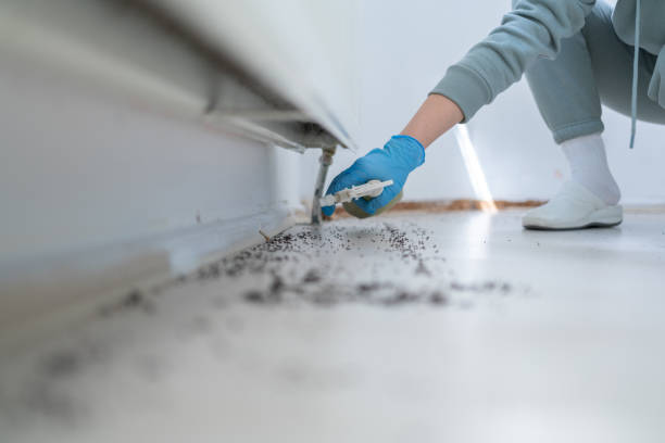 Imperial, NE Pest Control Company